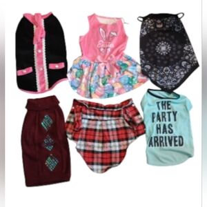 Colorful Dog Apparel Set